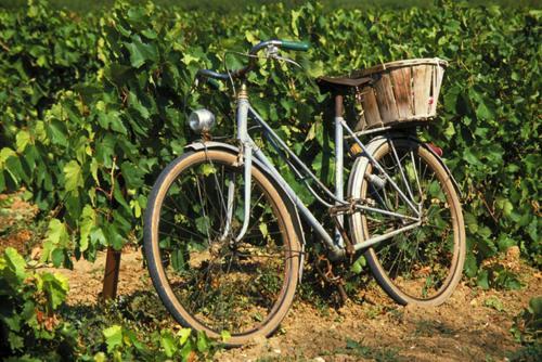 La Maison Grenadine Pres Du Canal Du Midi Tourouzelle Dış mekan fotoğraf